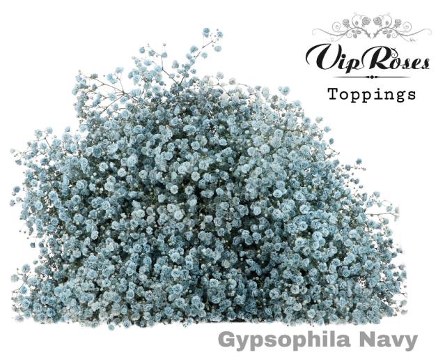 ♡Gypsohila♡ 67234132d2b0a4b54f61ab9ed99701